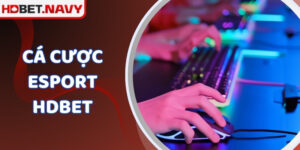 Cá Cược Esport HDBET - Nơi Thỏa Mãn Cho Đam Mê Của Bạn