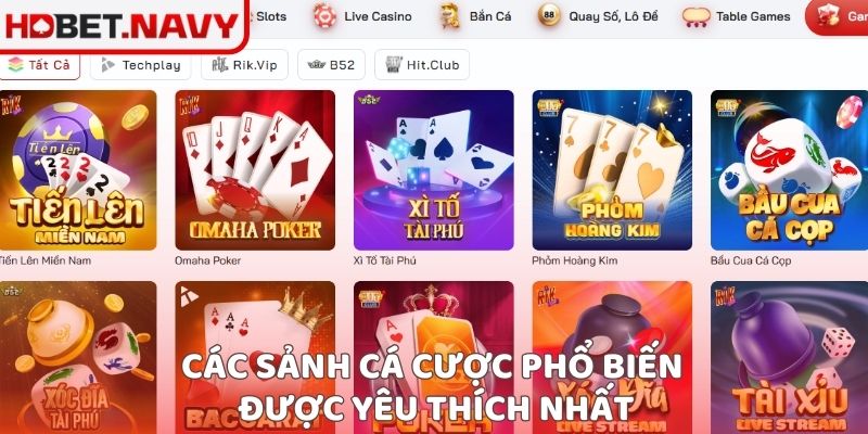 Các sảnh cá cược phổ biến được yêu thích nhất