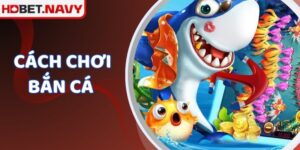 Cách Chơi Bắn Cá - Bật Mí Mẹo Chinh Phục Đại Dương Của HDBET