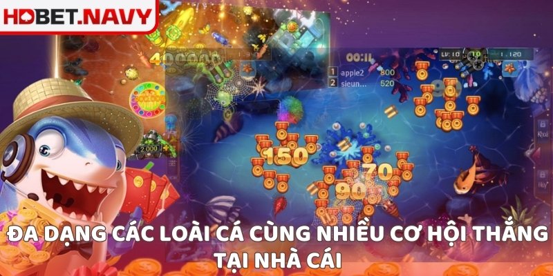 Đa dạng các loài cá cùng nhiều cơ hội thắng tại nhà cái