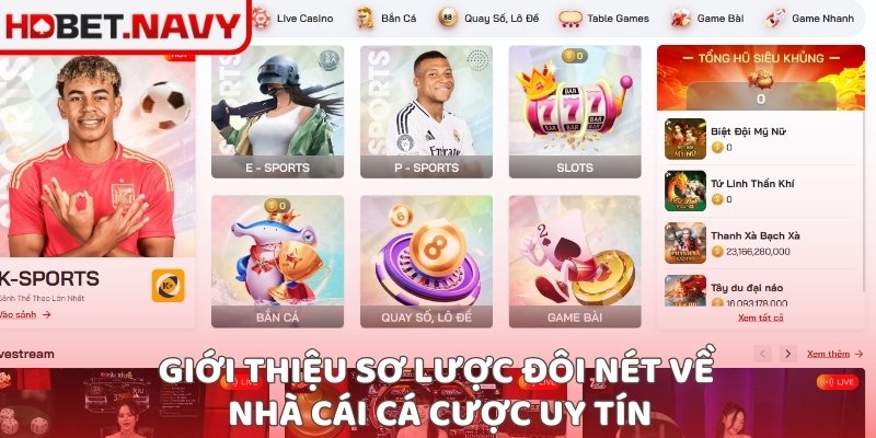 Giới thiệu sơ lược đôi nét về nhà cái cá cược uy tín