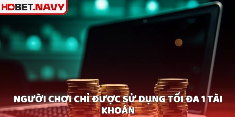 Người chơi chỉ được sử dụng tối đa 1 tài khoản