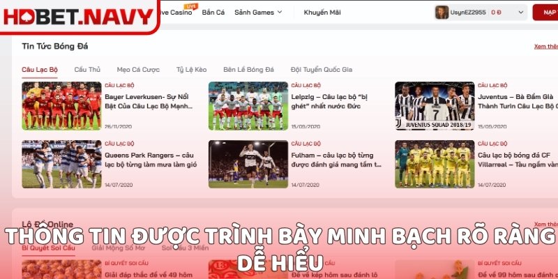 Thông tin được trình bày minh bạch rõ ràng dễ hiểu