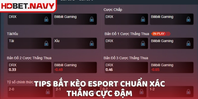 Tips bắt kèo esport chuẩn xác - Thắng cực đậm